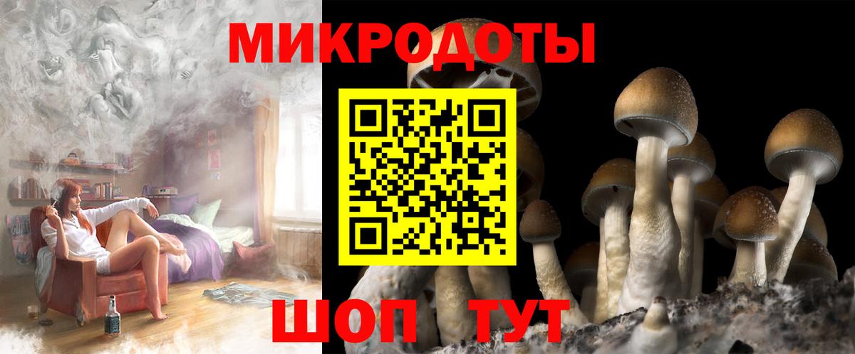 Псилоцибиновые грибы GOLDEN TEACHER Нефтекамск